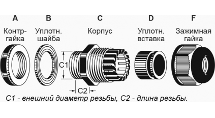 661_pic2