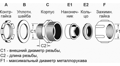 4371_pic3