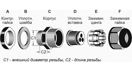 93_pic2